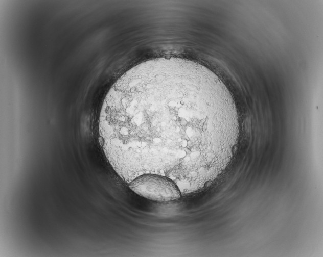 X0000093410218200711091405