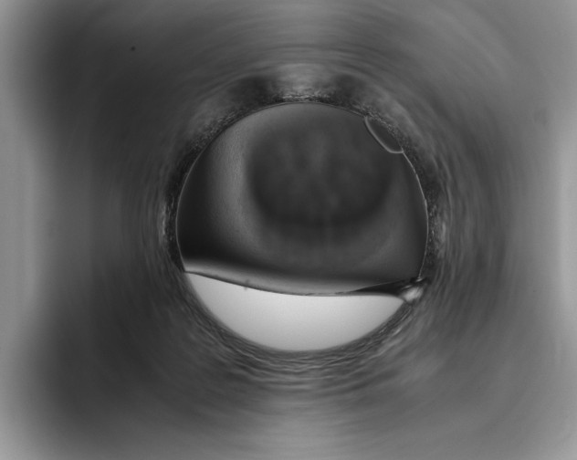 X0000093410219200711091405