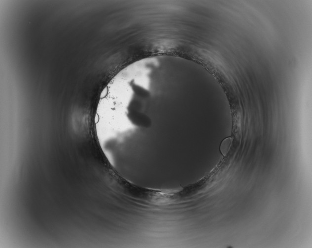 X0000093410222200711091405