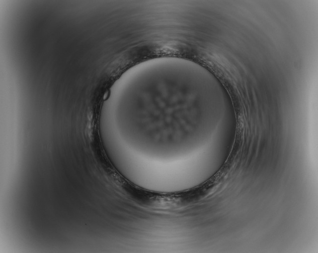 X0000093410223200711091405