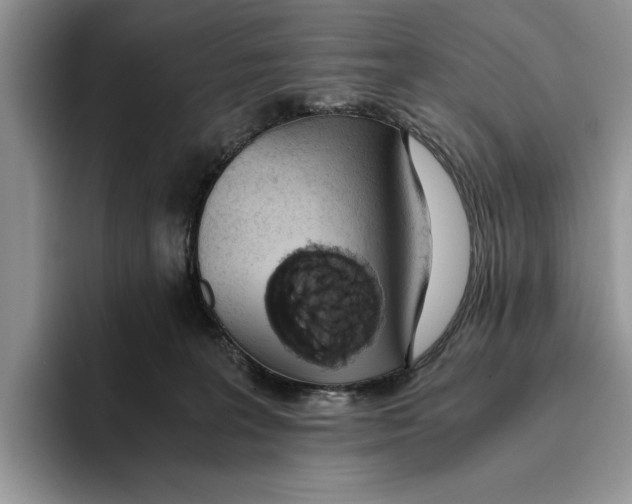 X0000093410227200711091405