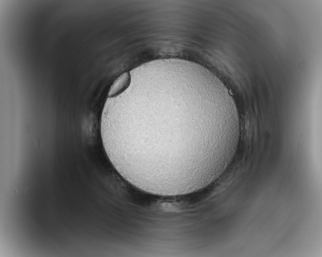 X0000093410228200711091405