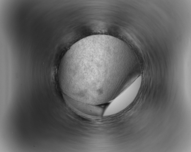 X0000093410229200711091405