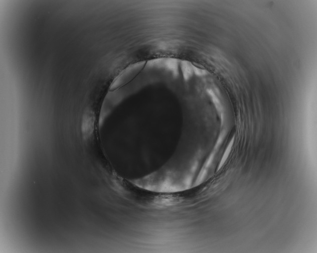 X0000093410231200711091405