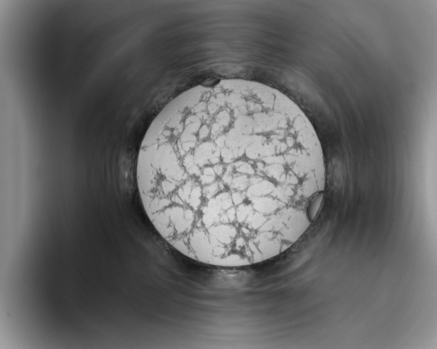 X0000093410234200711091405