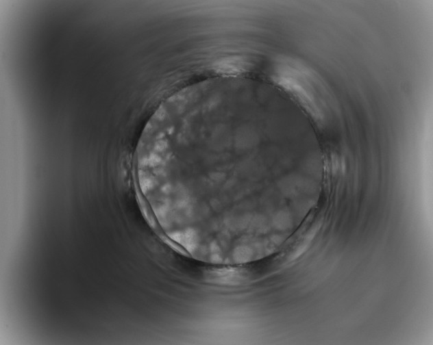 X0000093410237200711091405