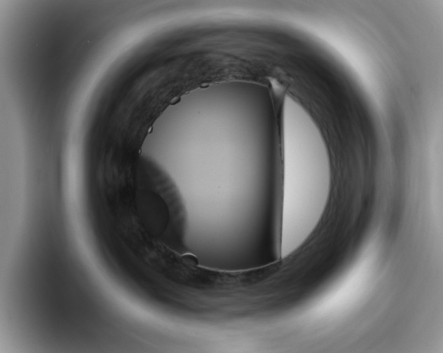 X0000093410239200711091405