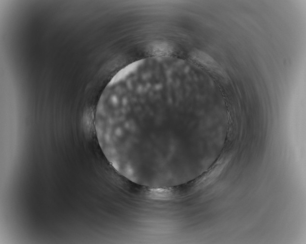 X0000093410240200711091405