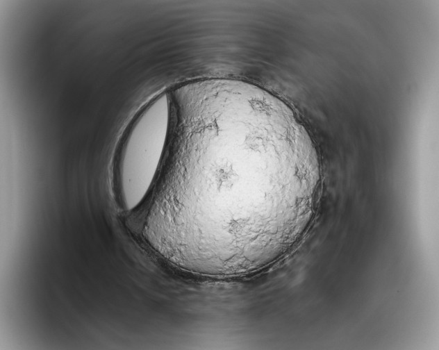 X0000093410242200711091404