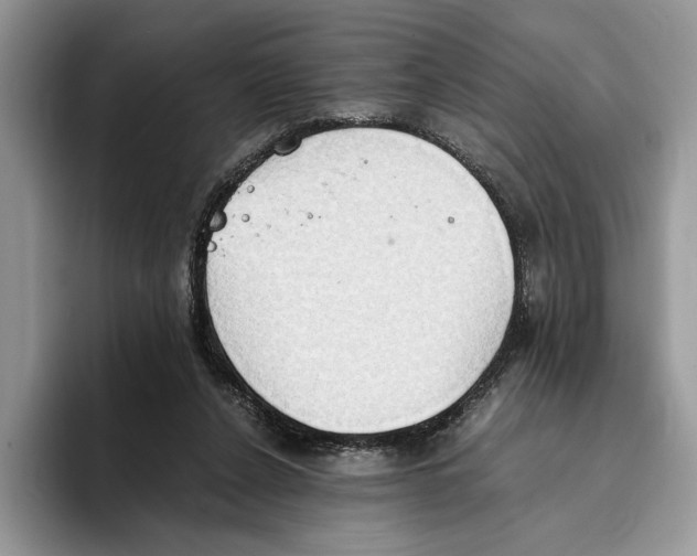 X0000093410256200711091404