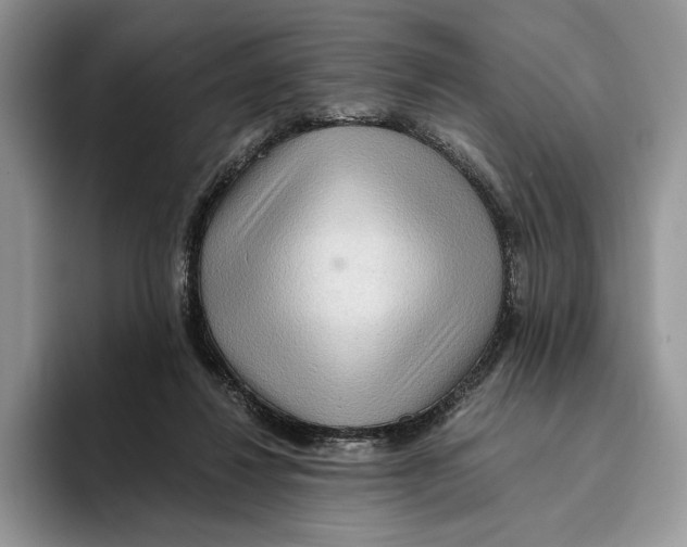 X0000093410260200711091404