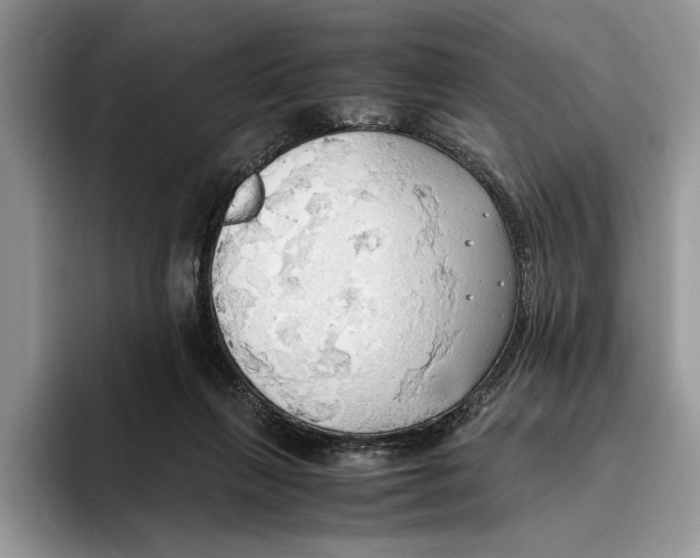 X0000093410263200711091404