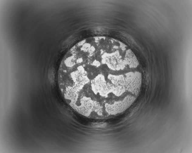 X0000093410266200711091404