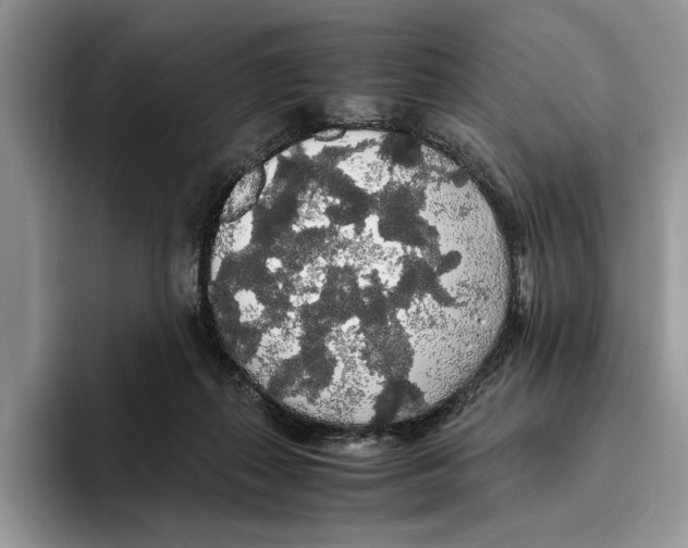 X0000093410267200711091404