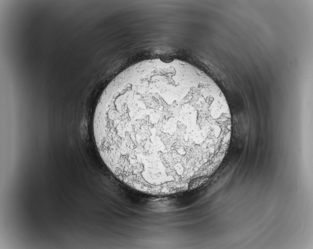 X0000093410269200711091404