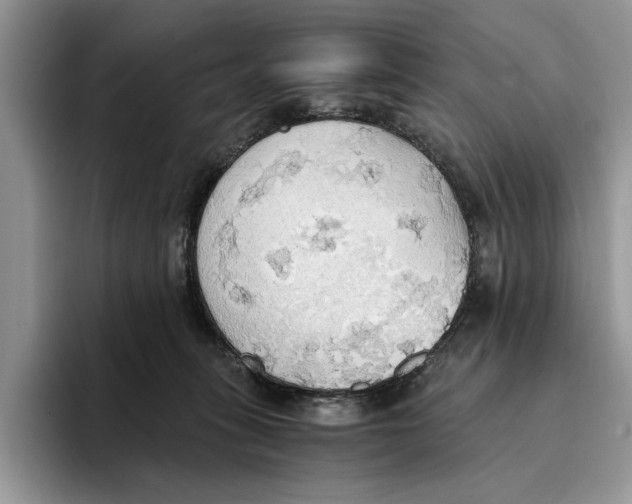 X0000093410275200711091404