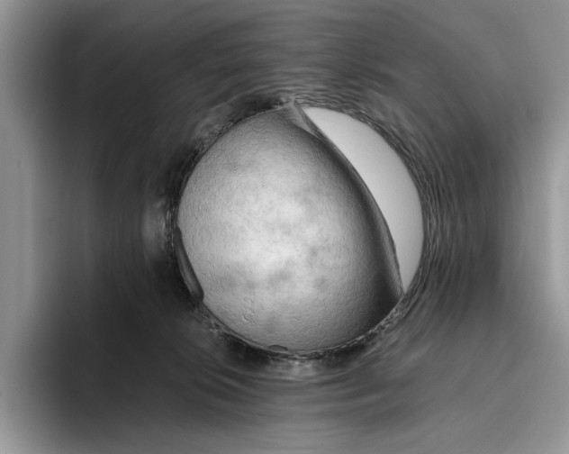 X0000093410276200711091404