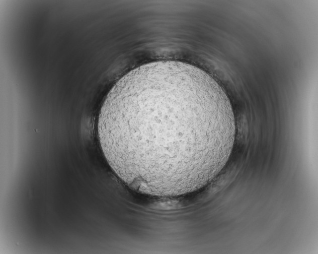 X0000093410278200711091404