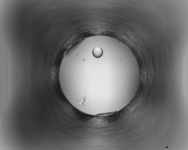 X0000093410280200711091404