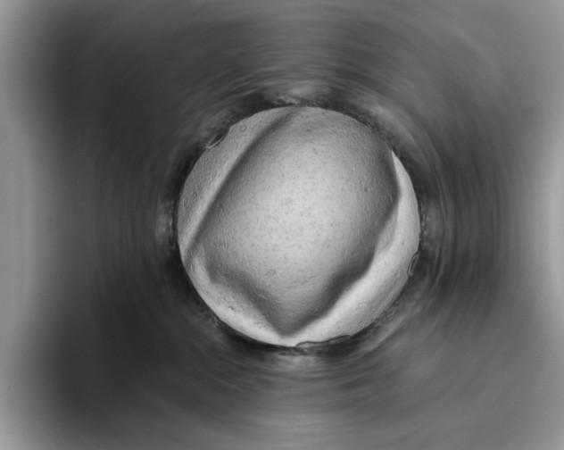 X0000093410284200711091405