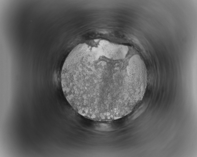 X0000093410285200711091405