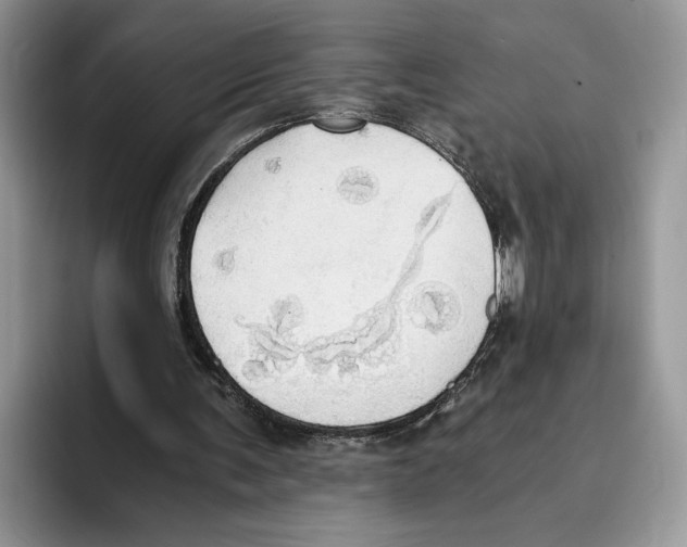 X0000093410291200711091404