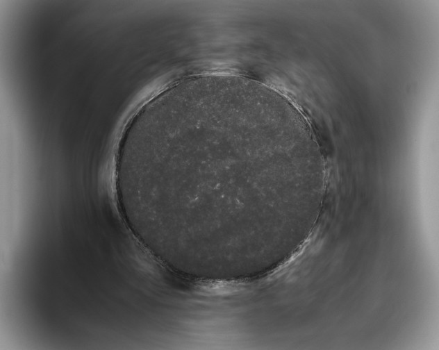 X0000093410293200711091404