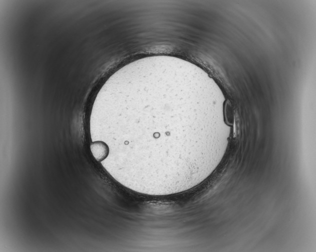 X0000093410300200711091404