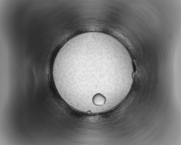 X0000093410306200711091404