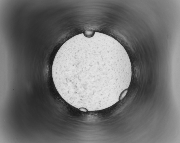 X0000093410308200711091404