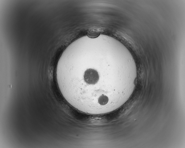 X0000093410315200711091404