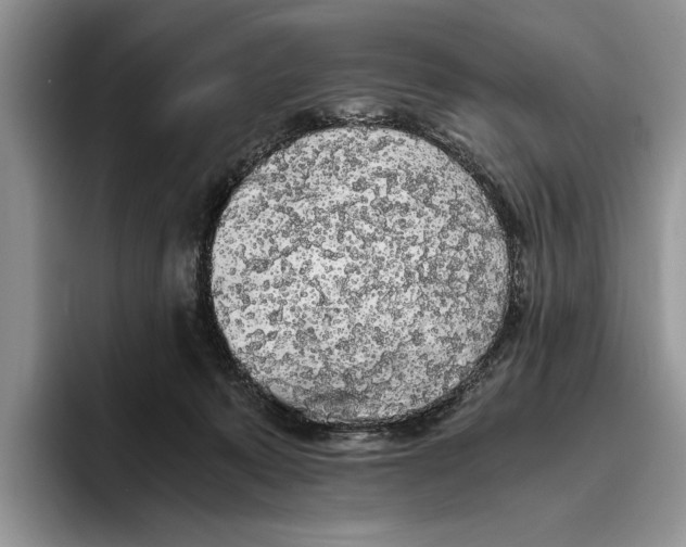 X0000093410319200711091404