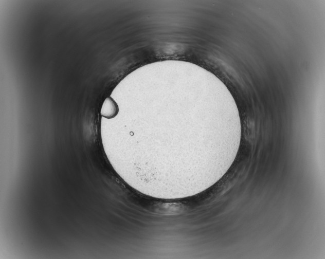 X0000093410324200711091404