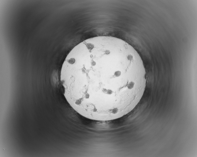 X0000093410335200711091403