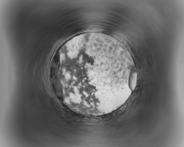 X0000093410337200711091403