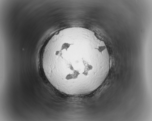 X0000093410339200711091403