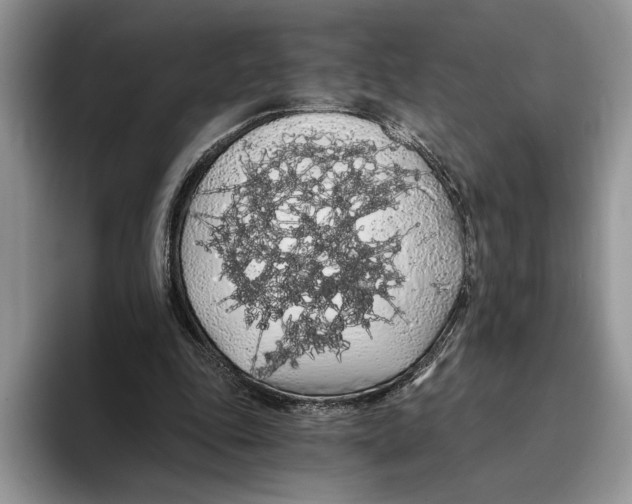 X0000093410343200711091403