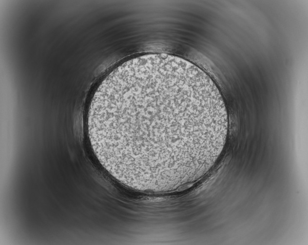 X0000093410349200711091403