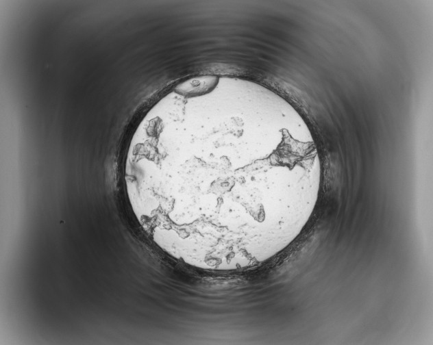 X0000093410351200711091403