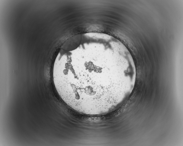 X0000093410353200711091403