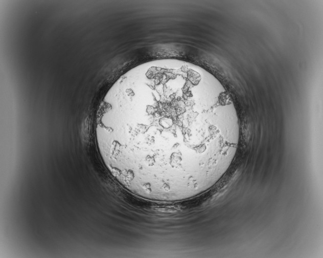 X0000093410359200711091403