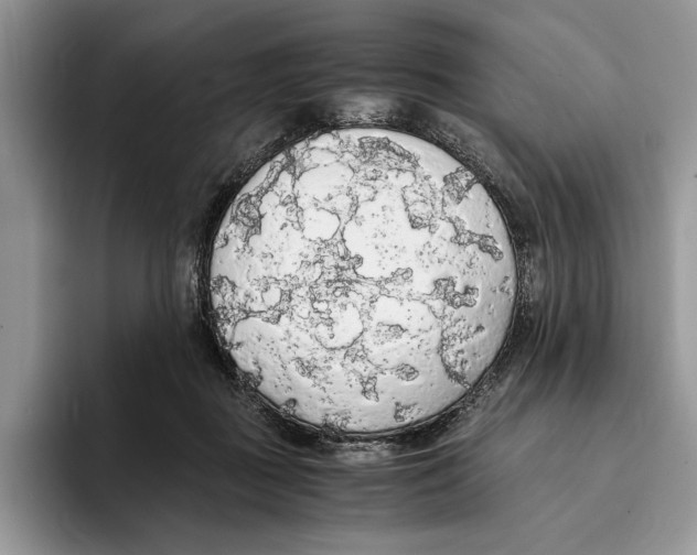 X0000093410363200711091403