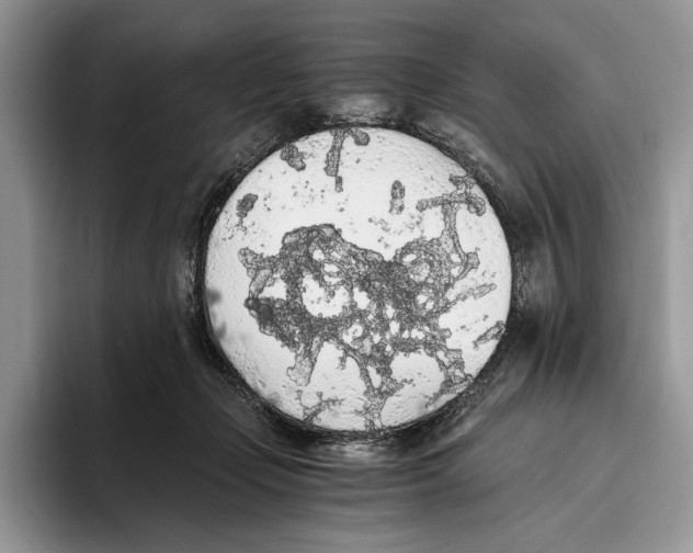 X0000093410365200711091403