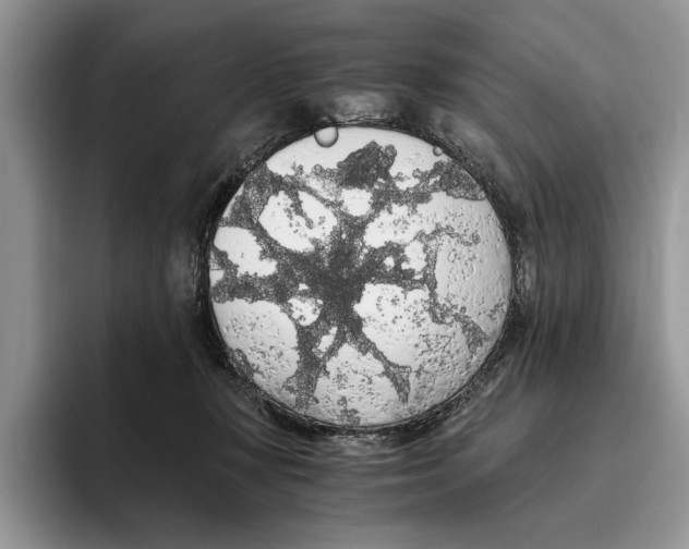 X0000093410367200711091403