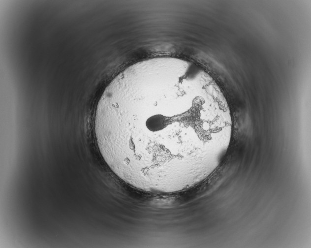 X0000093410369200711091403