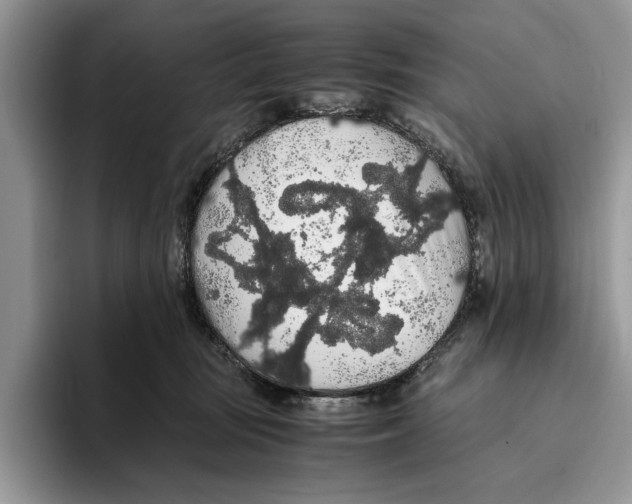 X0000093410371200711091403