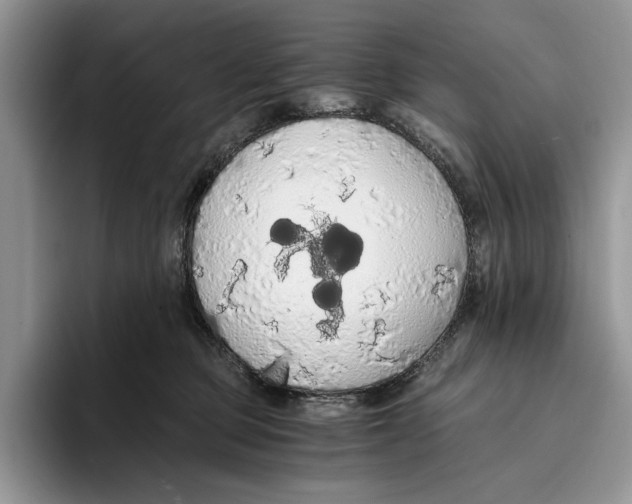 X0000093410373200711091403