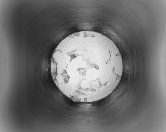 X0000093410374200711091403