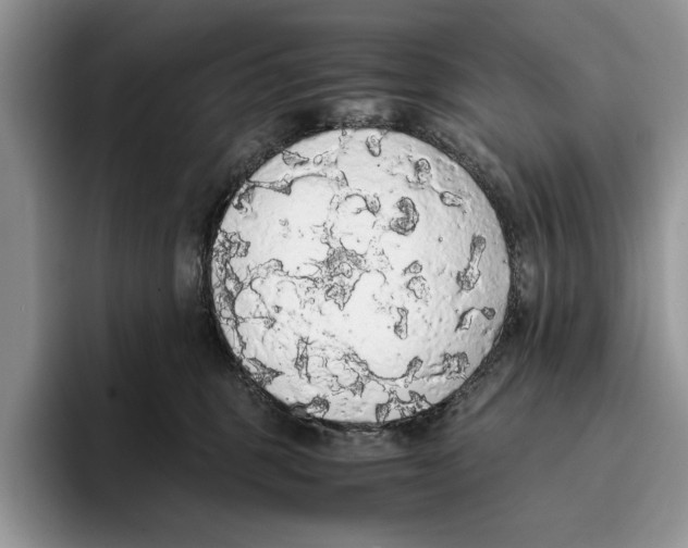 X0000093410375200711091403