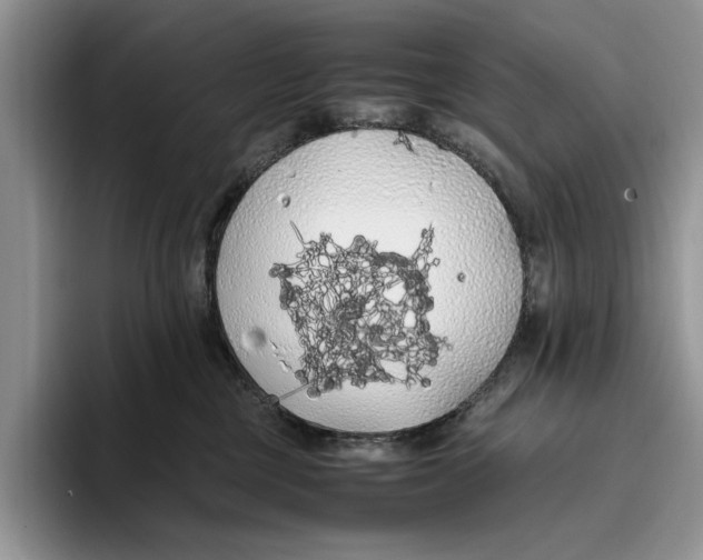 X0000093410377200711091403